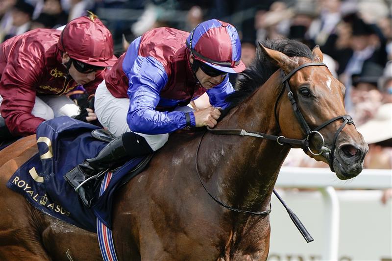 ASCOT, ENGLAND - JUNE 24: Wayne Lordan riding Ace Of Kings (blue/maroon) win The Jersey Stakes on day five during Royal Ascot 2023 at Ascot Racecourse on June 24, 2023 in Ascot, England. (Photo by Alan Crowhurst/Getty Images for Ascot Racecourse)