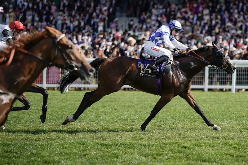 ASCOT, ENGLAND - JUNE 24: Hollie Doyle riding Saint Lawrence (blue/white) win The Wokingham Stakes on day five during Royal Ascot 2023 at Ascot Racecourse on June 24, 2023 in Ascot, England. (Photo by Alan Crowhurst/Getty Images for Ascot Racecourse)