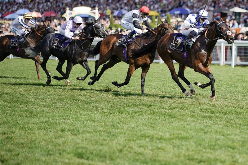 ASCOT, ENGLAND - JUNE 24: Hollie Doyle riding Saint Lawrence (blue/white) win The Wokingham Stakes on day five during Royal Ascot 2023 at Ascot Racecourse on June 24, 2023 in Ascot, England. (Photo by Alan Crowhurst/Getty Images for Ascot Racecourse)