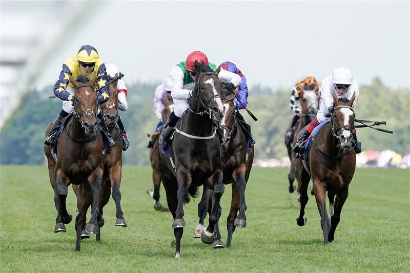 ASCOT, ENGLAND - JUNE 24: PJ McDonald riding Pyledriver (red cap) win The Hardwicke Stakes on day five during Royal Ascot 2023 at Ascot Racecourse on June 24, 2023 in Ascot, England. (Photo by Alan Crowhurst/Getty Images for Ascot Racecourse)