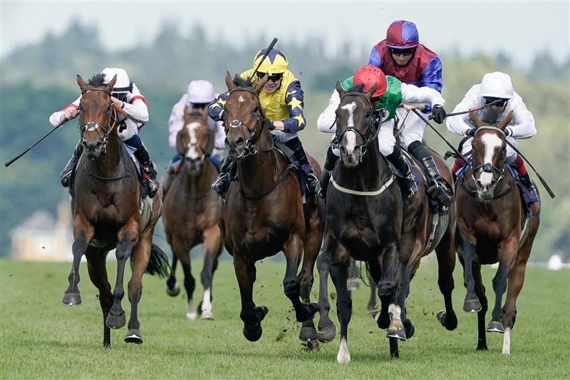ASCOT, ENGLAND - JUNE 24: PJ McDonald riding Pyledriver (red cap) win The Hardwicke Stakes on day five during Royal Ascot 2023 at Ascot Racecourse on June 24, 2023 in Ascot, England. (Photo by Alan Crowhurst/Getty Images for Ascot Racecourse)