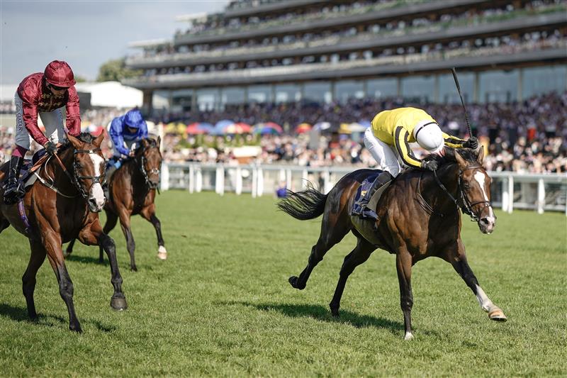 ASCOT, ENGLAND - JUNE 24: Neil Callan riding Burdett Road (yellow) win The Golden Gates Stakes on day five during Royal Ascot 2023 at Ascot Racecourse on June 24, 2023 in Ascot, England. (Photo by Alan Crowhurst/Getty Images for Ascot Racecourse)