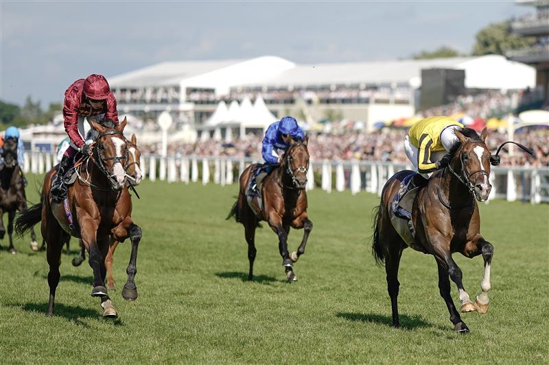ASCOT, ENGLAND - JUNE 24: Neil Callan riding Burdett Road (yellow) win The Golden Gates Stakes on day five during Royal Ascot 2023 at Ascot Racecourse on June 24, 2023 in Ascot, England. (Photo by Alan Crowhurst/Getty Images for Ascot Racecourse)