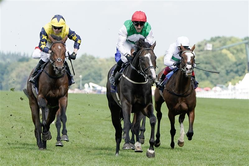 ASCOT, ENGLAND - JUNE 24: PJ McDonald riding Pyledriver (red cap) win The Hardwicke Stakes on day five during Royal Ascot 2023 at Ascot Racecourse on June 24, 2023 in Ascot, England. (Photo by Alan Crowhurst/Getty Images for Ascot Racecourse)