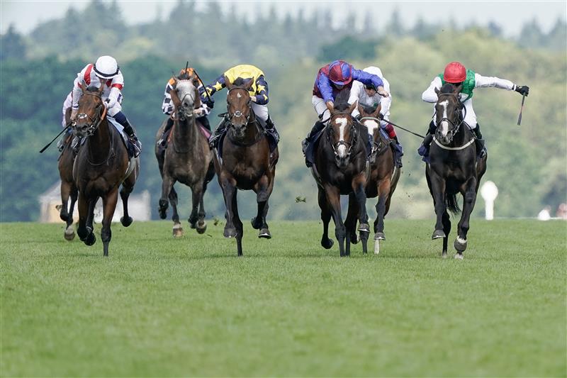 ASCOT, ENGLAND - JUNE 24: PJ McDonald riding Pyledriver (red cap) win The Hardwicke Stakes on day five during Royal Ascot 2023 at Ascot Racecourse on June 24, 2023 in Ascot, England. (Photo by Alan Crowhurst/Getty Images for Ascot Racecourse)