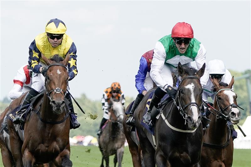 ASCOT, ENGLAND - JUNE 24: PJ McDonald riding Pyledriver (red cap) win The Hardwicke Stakes on day five during Royal Ascot 2023 at Ascot Racecourse on June 24, 2023 in Ascot, England. (Photo by Alan Crowhurst/Getty Images for Ascot Racecourse)