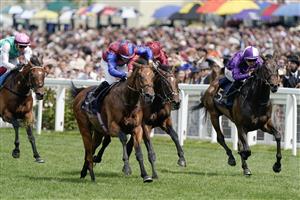 ASCOT, ENGLAND - JUNE 24: Wayne Lordan riding Ace Of Kings (blue/maroon) win The Jersey Stakes on day five during Royal Ascot 2023 at Ascot Racecourse on June 24, 2023 in Ascot, England. (Photo by Alan Crowhurst/Getty Images for Ascot Racecourse)