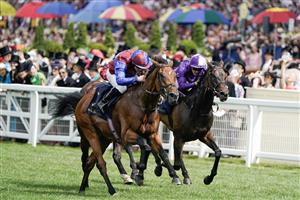 ASCOT, ENGLAND - JUNE 24: Wayne Lordan riding Ace Of Kings (blue/maroon) win The Jersey Stakes on day five during Royal Ascot 2023 at Ascot Racecourse on June 24, 2023 in Ascot, England. (Photo by Alan Crowhurst/Getty Images for Ascot Racecourse)
