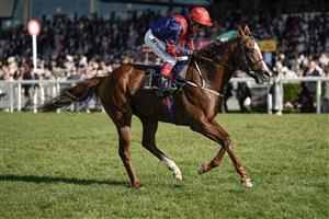 ASCOT, ENGLAND - JUNE 24: Frankie Dettori riding Knockbrex in his last Royal Ascot ride before retiring at the end of the season finish doown the field in The Golden Gates Stakes on day five during Royal Ascot 2023 at Ascot Racecourse on June 24, 2023 in Ascot, England. (Photo by Alan Crowhurst/Getty Images for Ascot Racecourse)