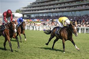 ASCOT, ENGLAND - JUNE 24: Neil Callan riding Burdett Road (yellow) win The Golden Gates Stakes on day five during Royal Ascot 2023 at Ascot Racecourse on June 24, 2023 in Ascot, England. (Photo by Alan Crowhurst/Getty Images for Ascot Racecourse)