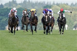 ASCOT, ENGLAND - JUNE 24: PJ McDonald riding Pyledriver (red cap) win The Hardwicke Stakes on day five during Royal Ascot 2023 at Ascot Racecourse on June 24, 2023 in Ascot, England. (Photo by Alan Crowhurst/Getty Images for Ascot Racecourse)
