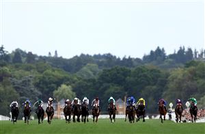 ASCOT, ENGLAND - JUNE 24: Runners and Riders in The Chesham Stakes  during day five of Royal Ascot 2023 at Ascot Racecourse on June 24, 2023 in Ascot, England. (Photo by Alex Pantling/Getty Images)