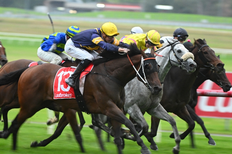 Sandown Betting Tips for June 28, 2023 Smith switch well timed