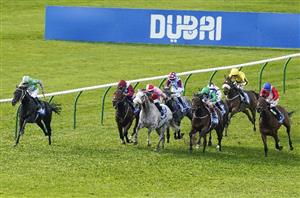 2025 Criterion Stakes Odds - Lake Forest the early favourite at York