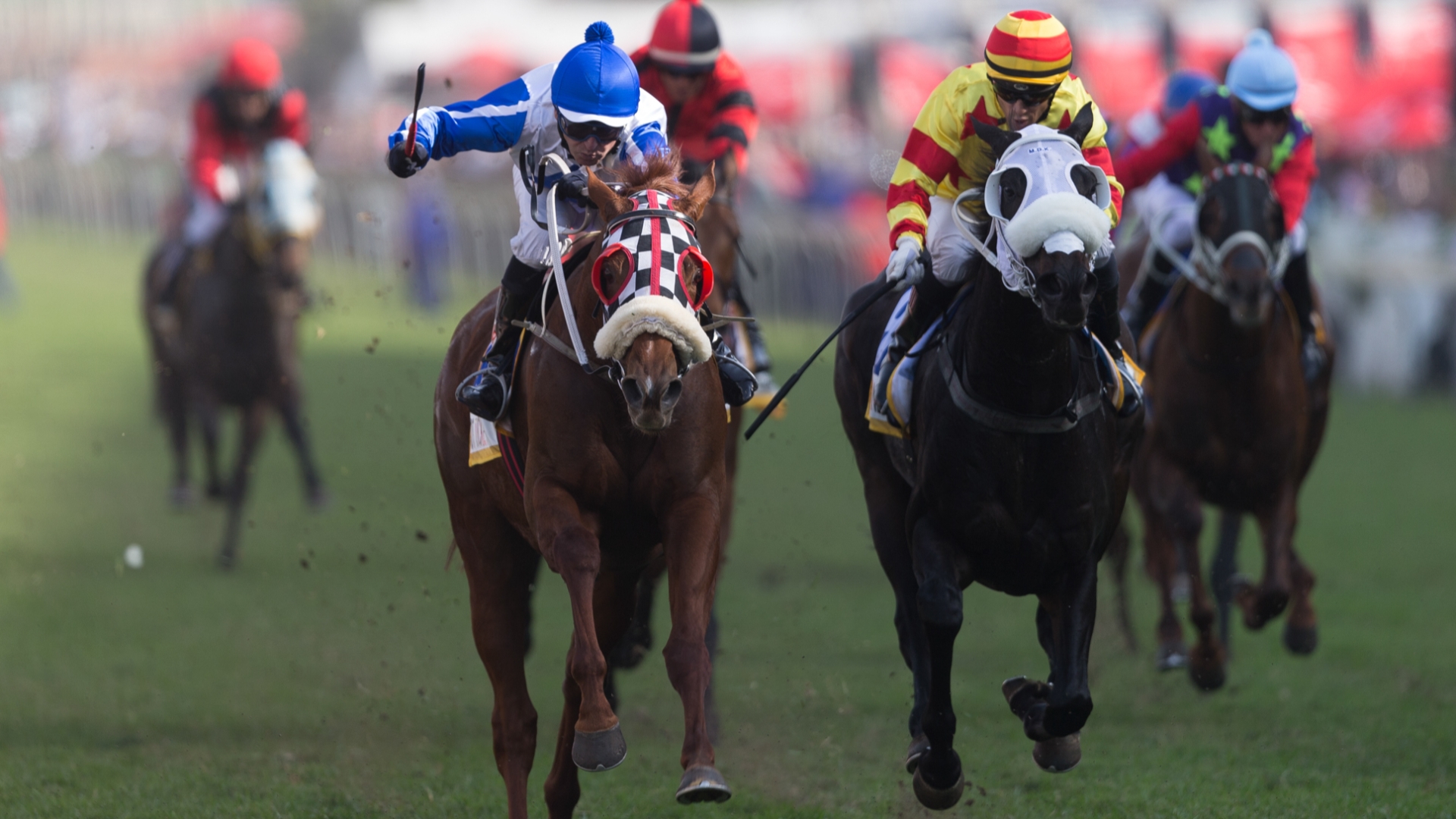 Winchester Mansion Durban July 2023 Odds and Betting