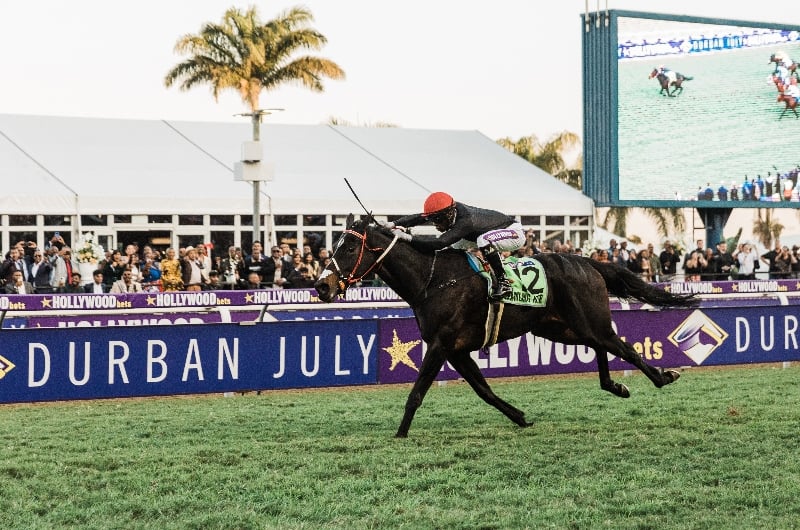 Durban July 2023 Live Stream - Watch this famous handicap live from Greyville