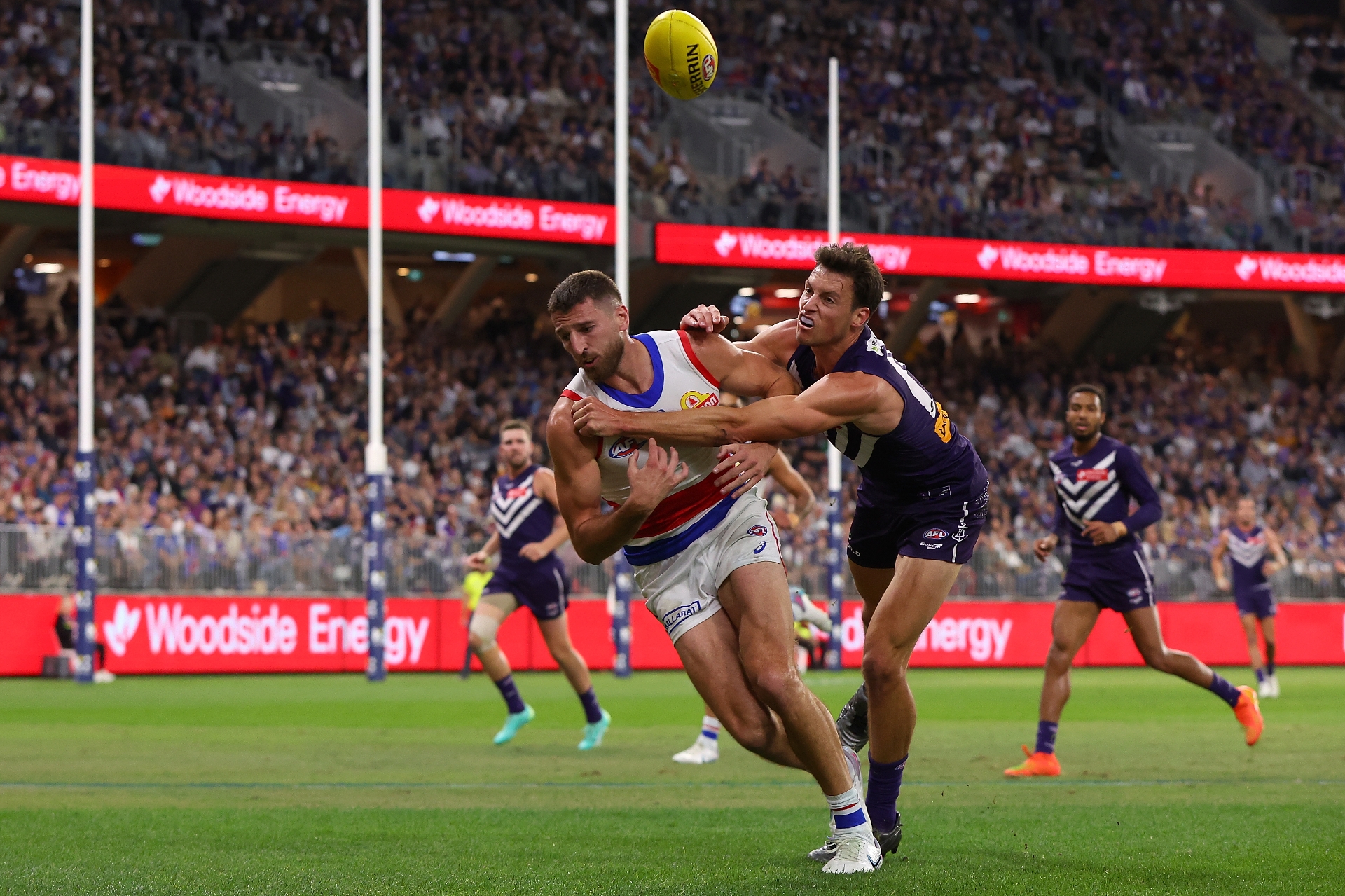 Western Bulldogs vs Fremantle Dockers Tips & Preview Dogs to climb the ladder with another win
