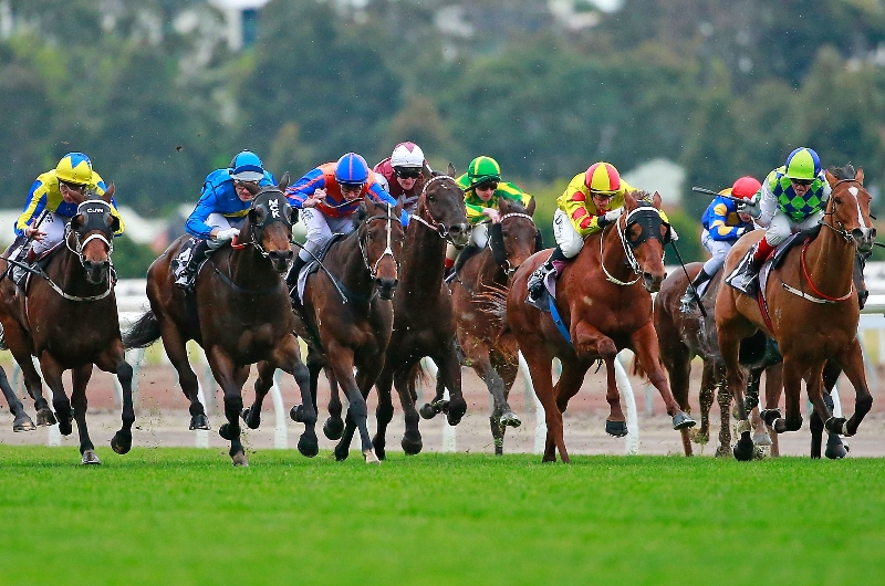 Flemington Betting Tips for July 1, 2023 RaceByRace preview for