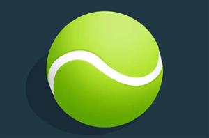 Stake Wimbledon Finalists Payout