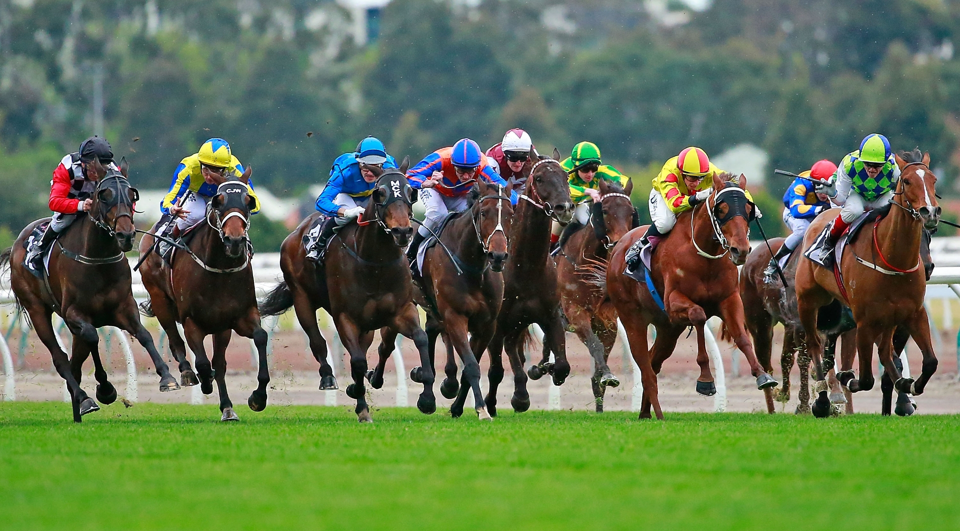 Flemington Betting Tips for July 1, 2023 RaceByRace preview for