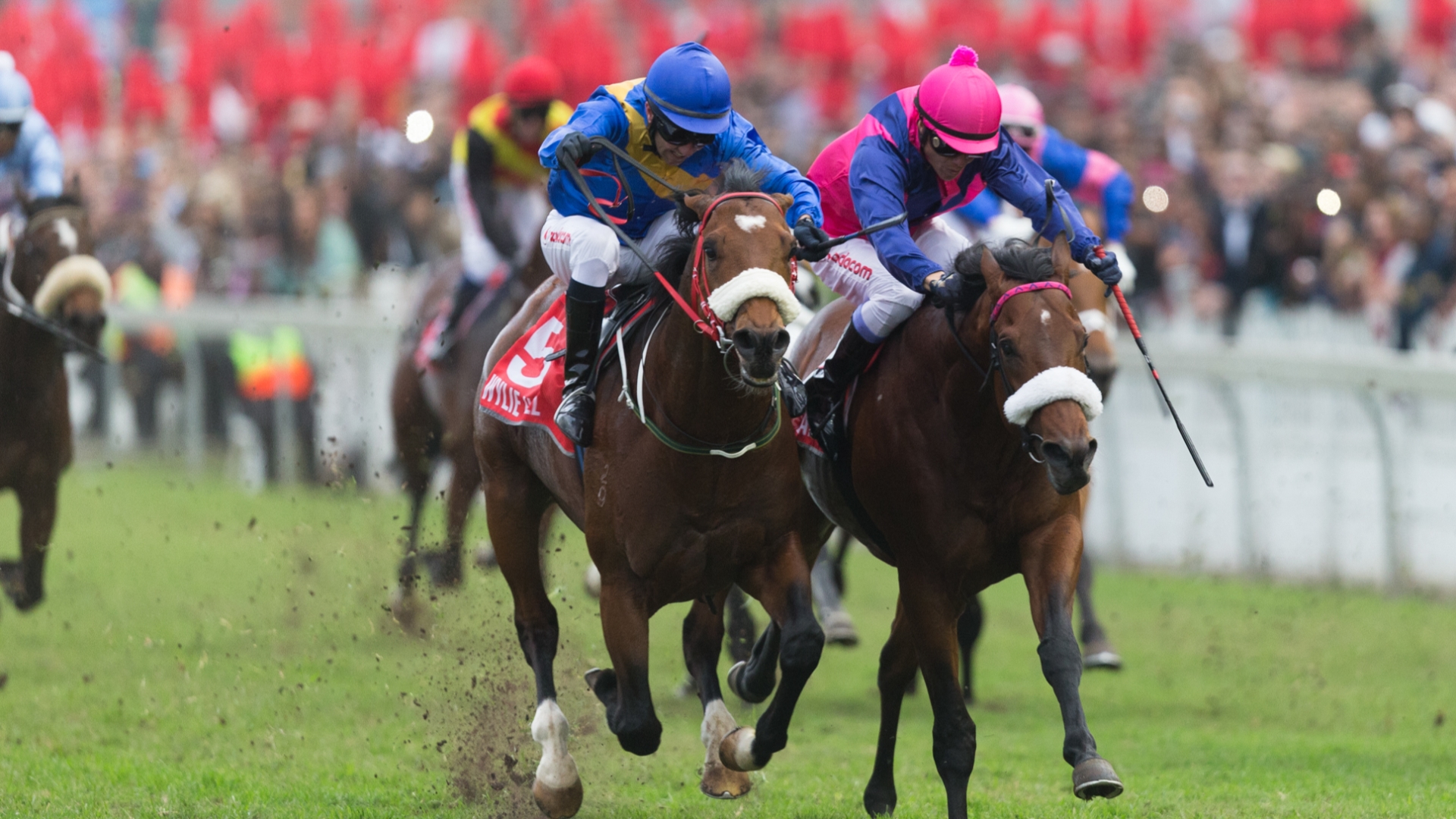 Rain In Holland Durban July 2023 Odds and Betting