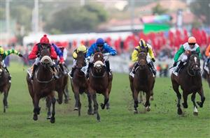 Durban July 2023 Odds Update - See It Again backed into 3.25 favouritism