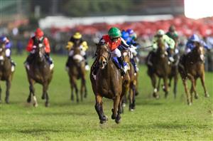 Durban July Day Tips - Best bets and race-by-race preview for Greyville on July 1