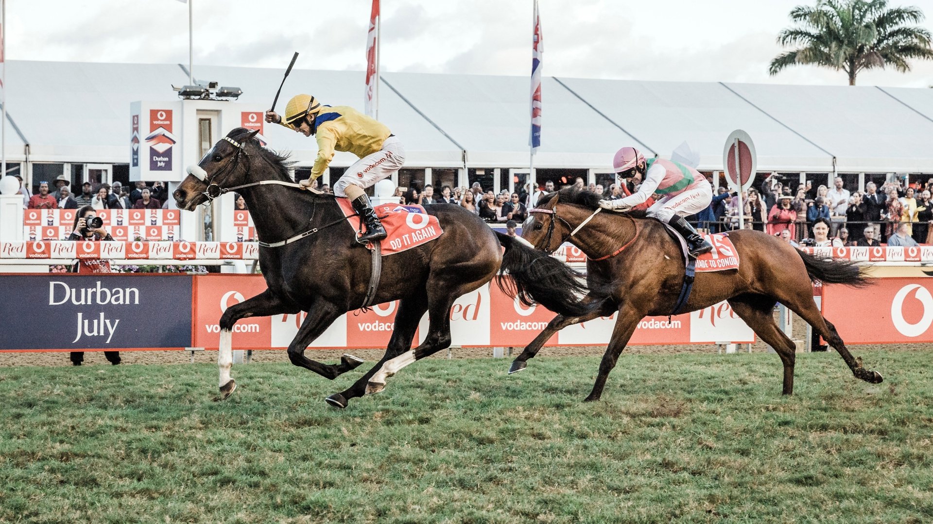 Today's Durban July Tips Selections and Picks to win the 2023 Durban July