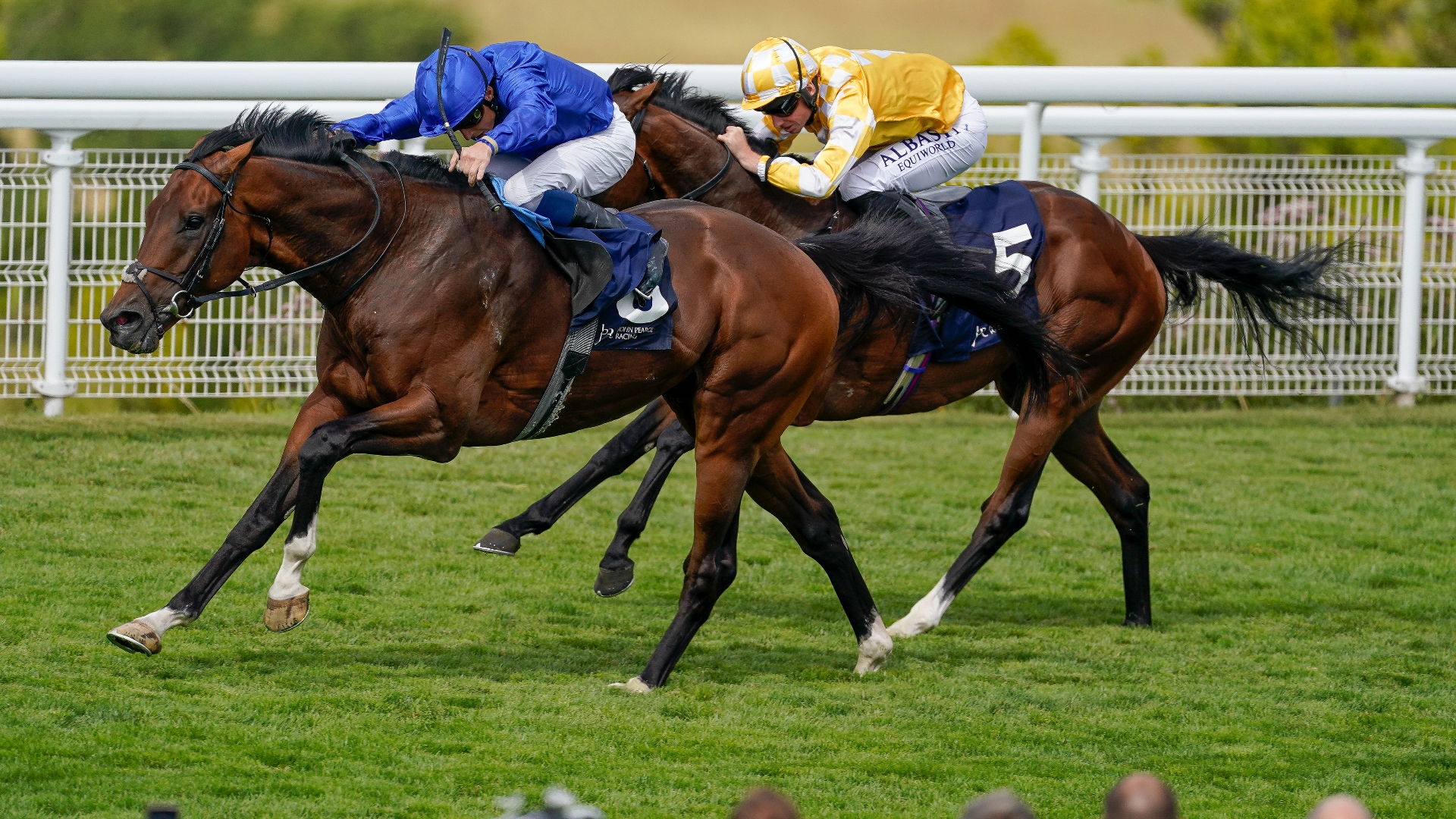 Newspaper Racing Tips Star Of Mystery and New London the tipster's double today Newspaper Racing Tips Star Of Mystery and New London the tipster's double today
