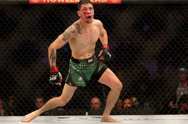 Brandon Moreno vs Alexandre Pantoja Tips Moreno To Win On Points At