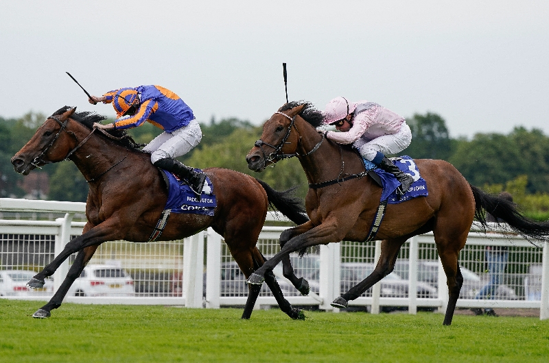 Juddmonte International Stakes odds and entries