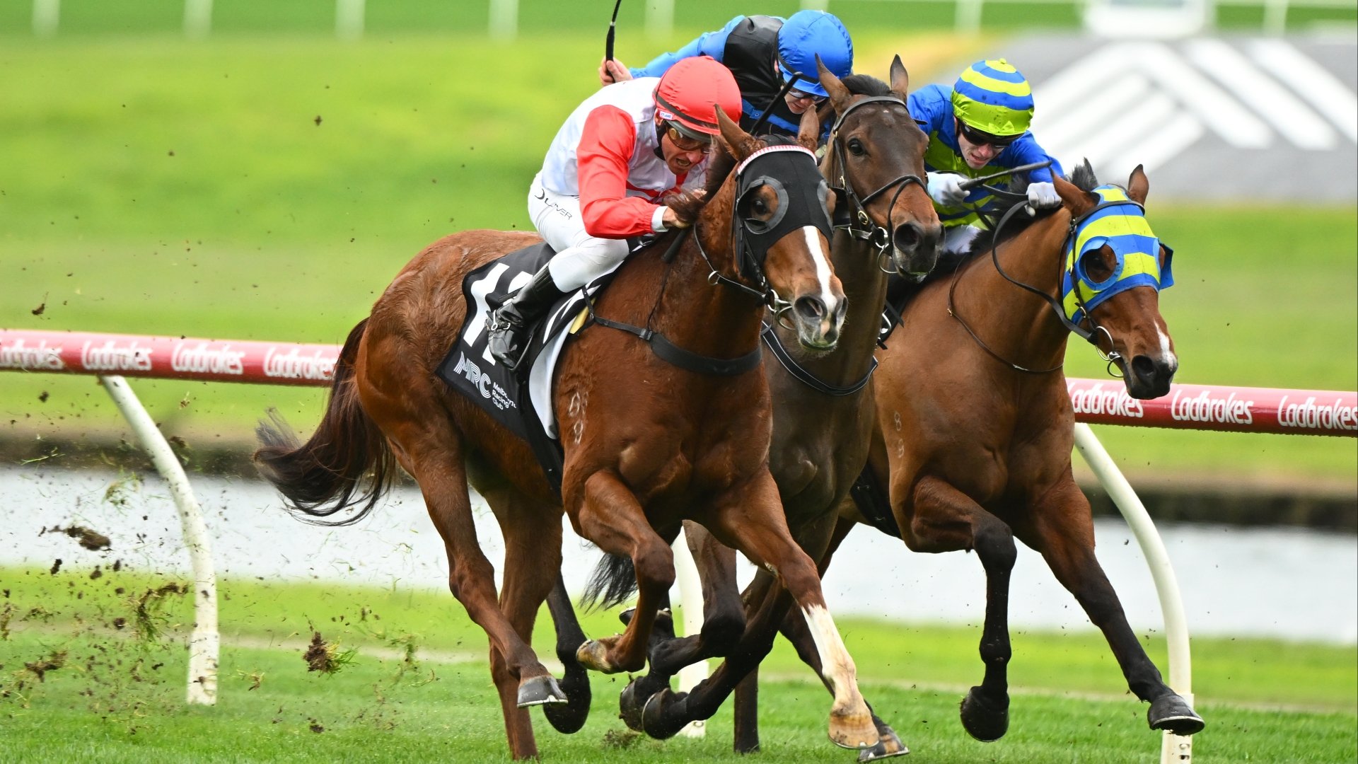 Neil Morrices Expert Analysis July 23 2025 Wednesday Racing Tips - 4k205x2