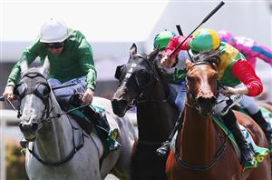 Geelong Tips for 14.07.2023