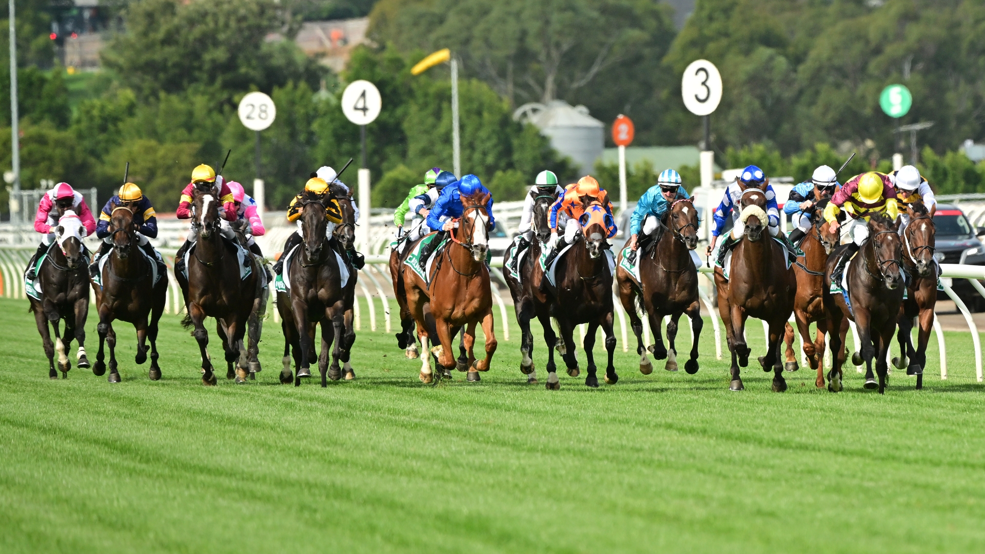 Flemington Betting Tips for July 15, 2023 RaceByRace preview for