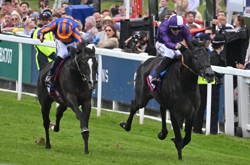 Irish Champion Stakes odds and entries