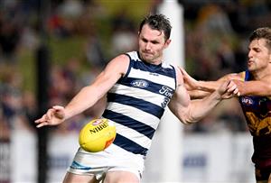 Brisbane Lions vs Geelong Cats Tips - Lions to defeat the Cats