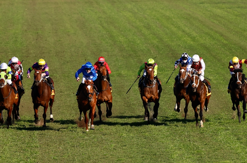 Rosehill Betting Tips for July 22, 2023 RaceByRace preview for