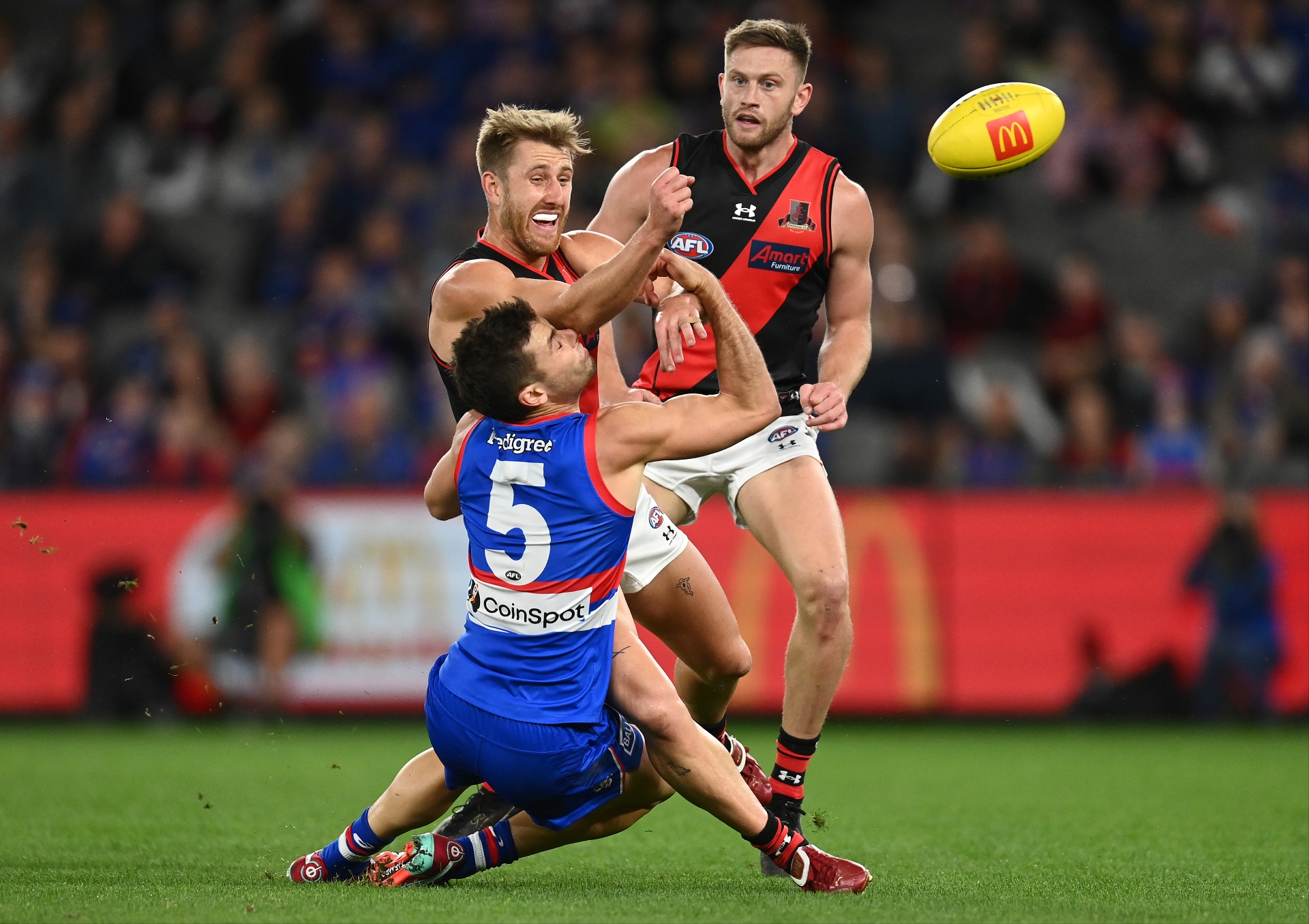 Essendon vs Western Bulldogs Tips Essendon to defeat the Bulldogs