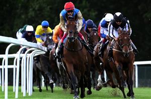 2023 Goodwood Cup Odds - Gregory leads Coltrane in the betting