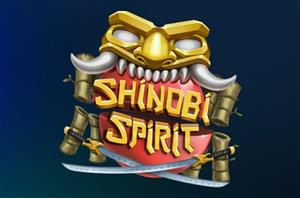 Vave Casino Shinobi Spirit