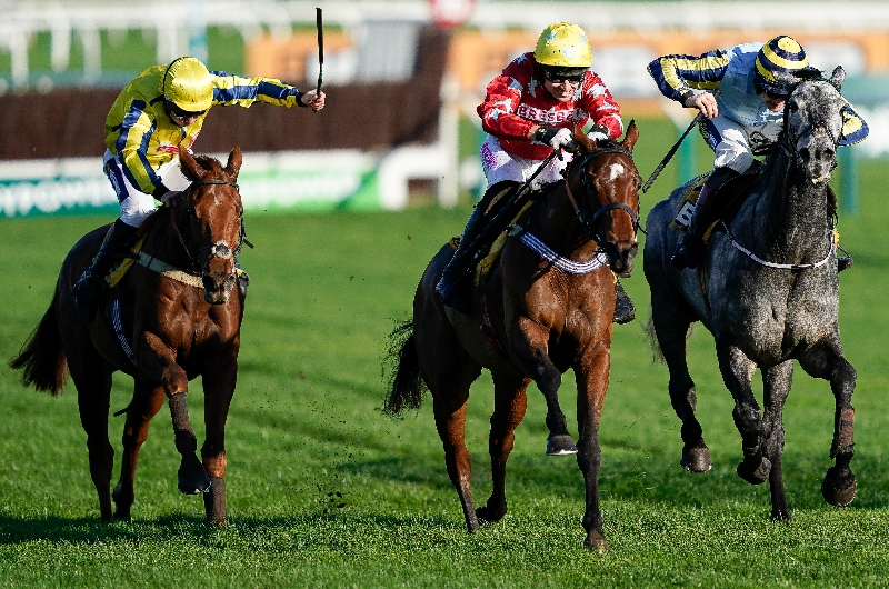 scriptwriter races