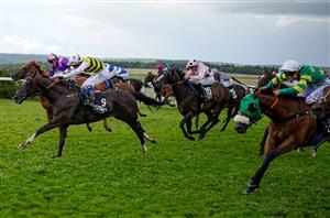 stewards' cup goodwood