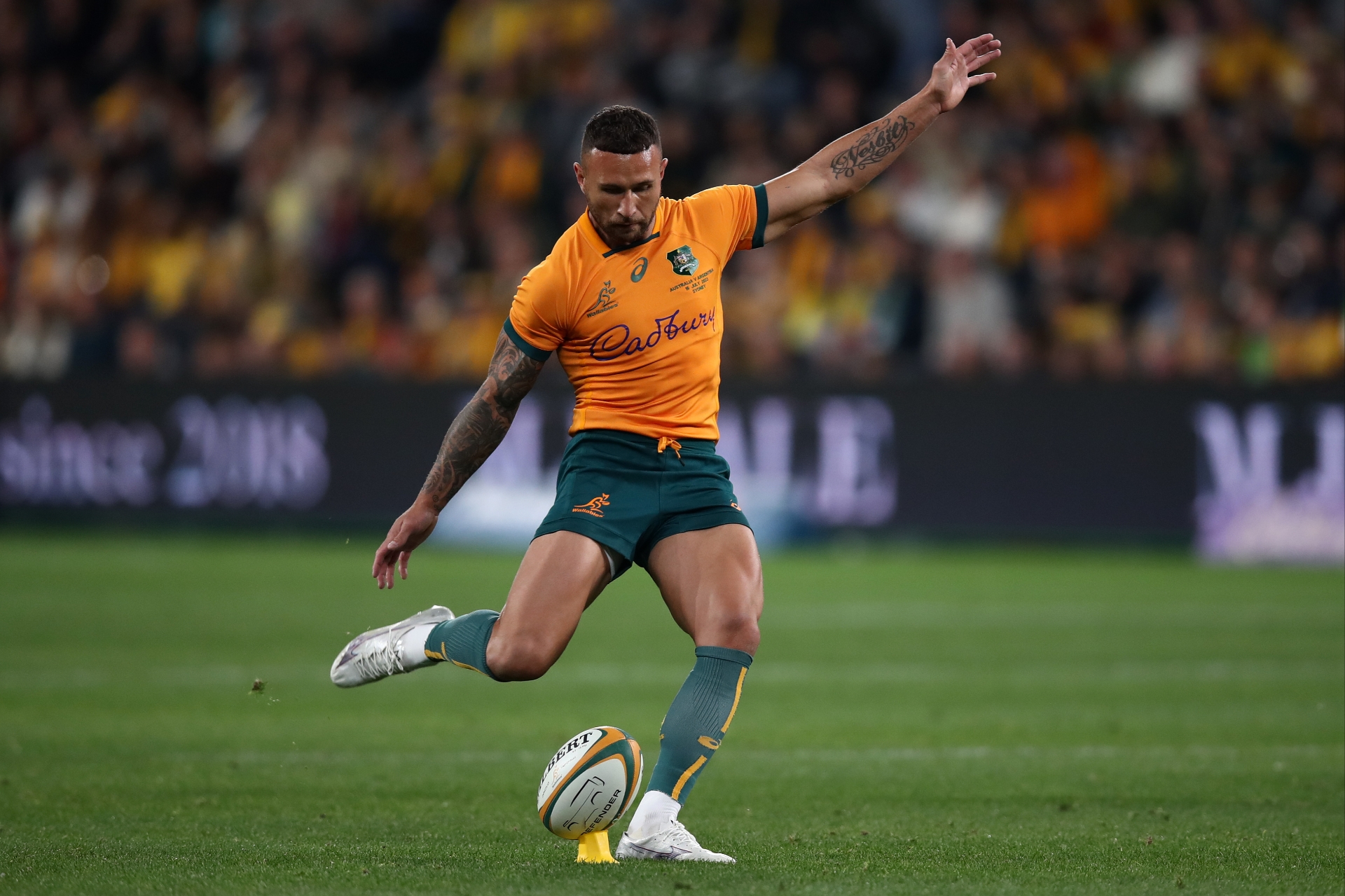 Australia vs New Zealand Tips Australia to secure first win under