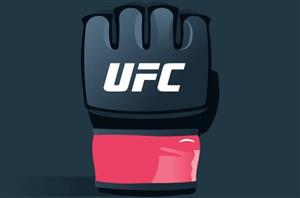Stake UFC Betting Markets