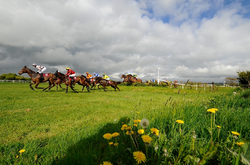 2023 Galway Festival Tips on July 31st Best bets on Day 1