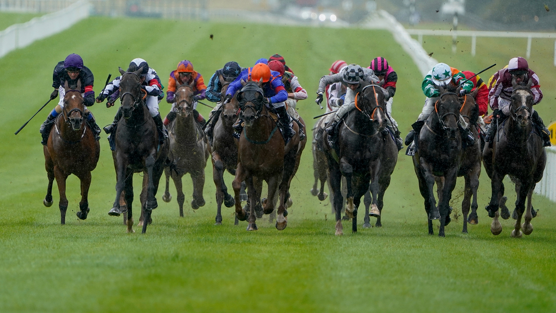 2023-galway-festival-tips-on-august-1st-top-tips-on-day-2