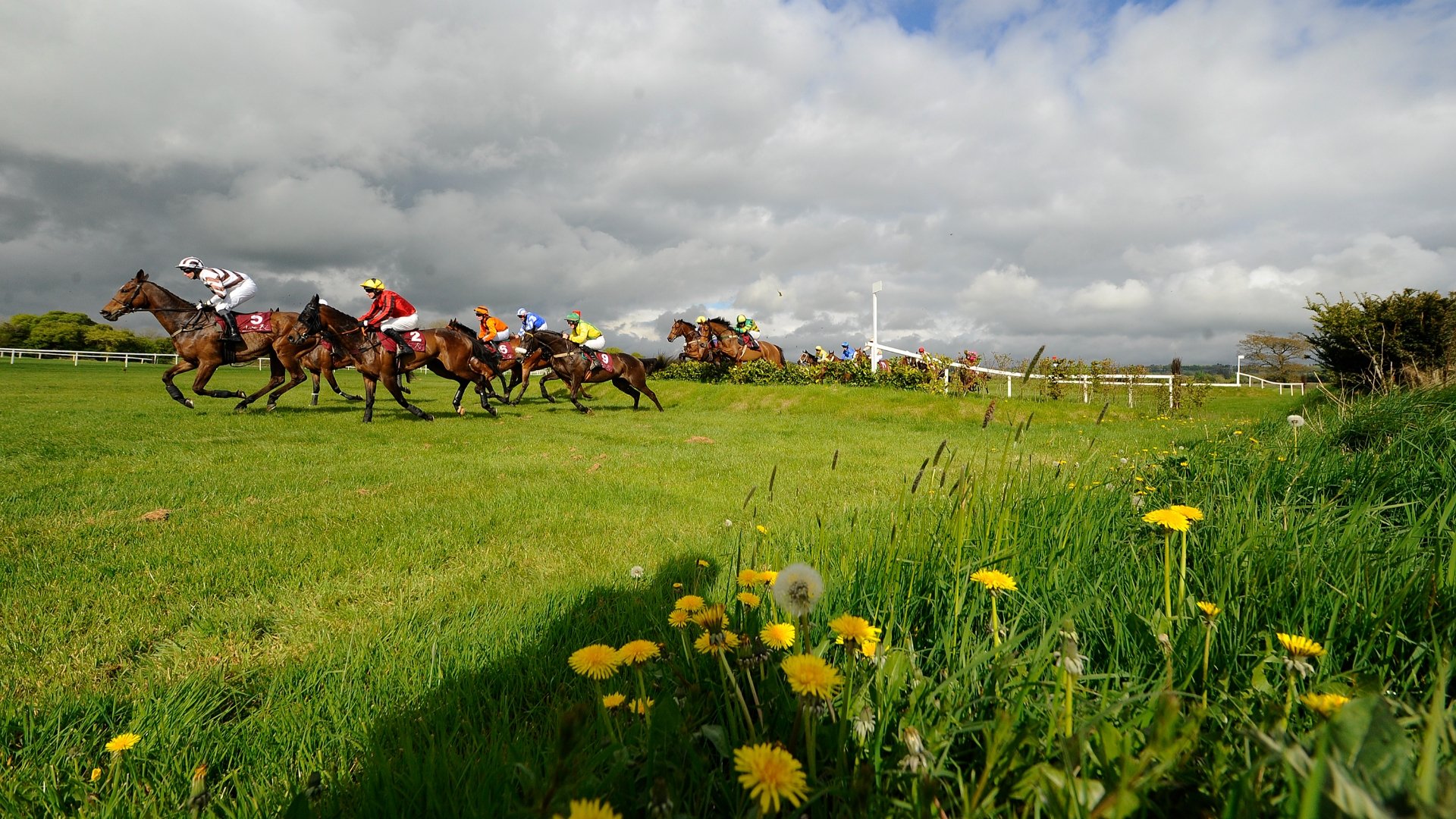 2023-galway-festival-tips-on-july-31st-best-bets-on-day-1