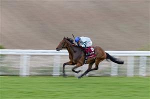 WATCH: Marquand pinches all-the-way Goodwood Cup win