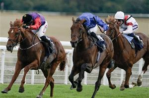 goodwood