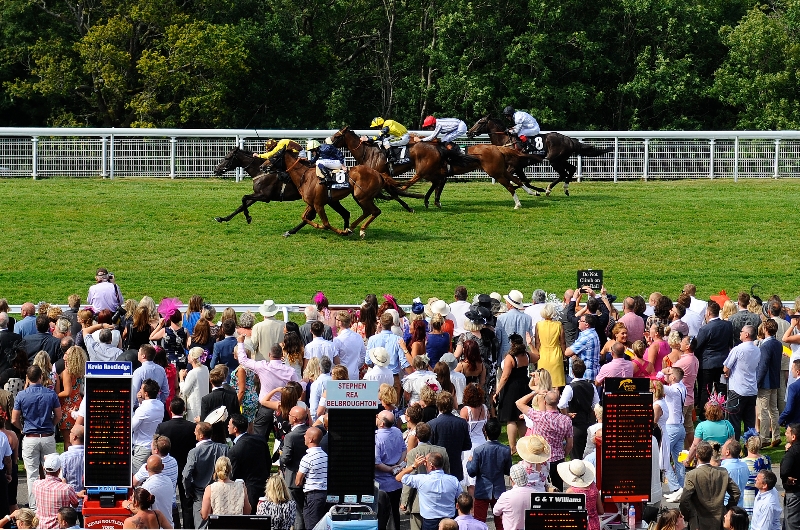 Glorious Goodwood Tips on August 5th - Through the card tips on Stewards' Cup day